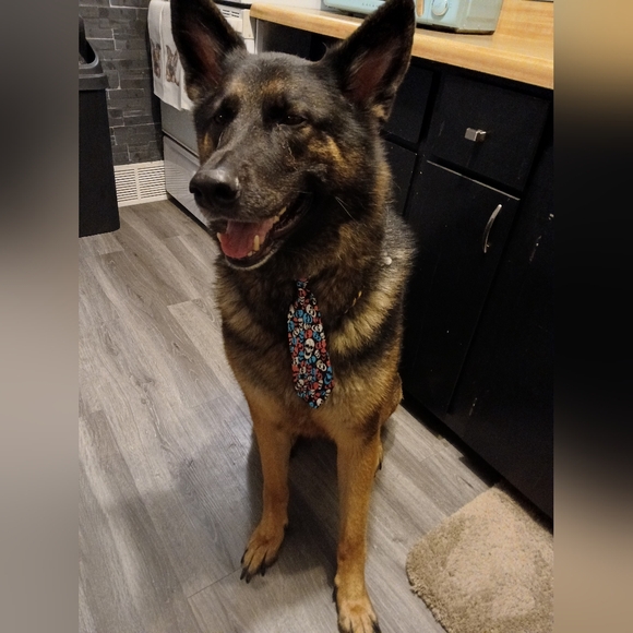 Unlisted Items for LIVE shows - Picture 6 of 11